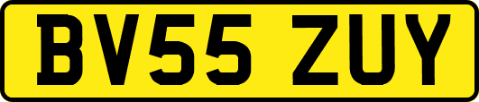 BV55ZUY