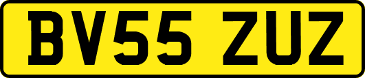 BV55ZUZ
