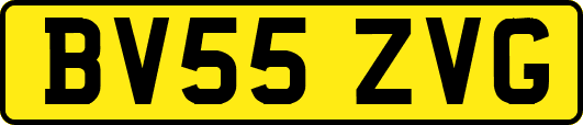 BV55ZVG