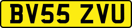 BV55ZVU