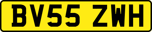 BV55ZWH
