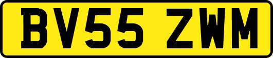 BV55ZWM