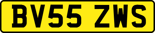 BV55ZWS