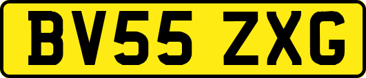 BV55ZXG