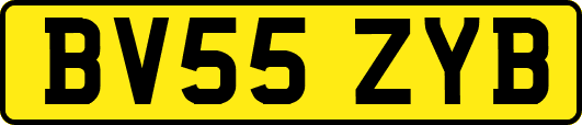 BV55ZYB