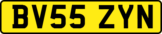 BV55ZYN