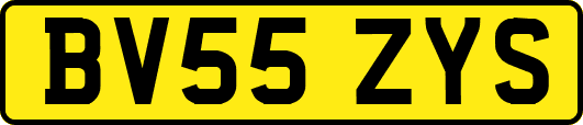 BV55ZYS