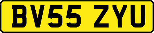 BV55ZYU