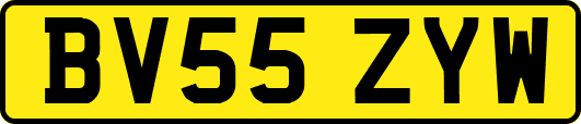 BV55ZYW