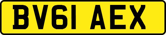 BV61AEX