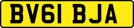 BV61BJA