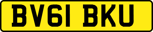 BV61BKU