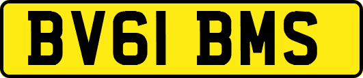 BV61BMS