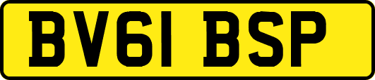 BV61BSP