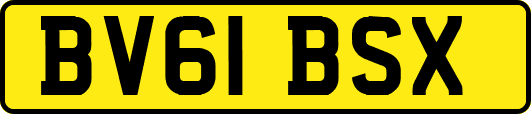 BV61BSX