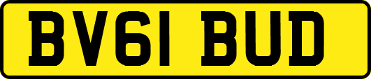BV61BUD