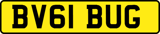 BV61BUG
