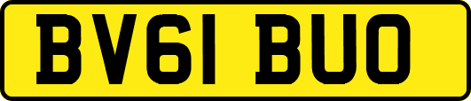 BV61BUO
