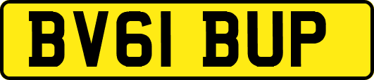 BV61BUP
