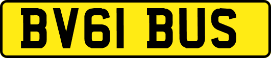 BV61BUS