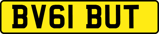 BV61BUT