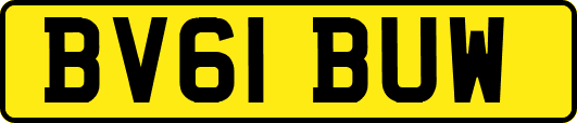 BV61BUW