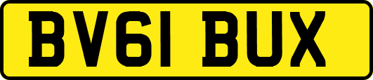 BV61BUX