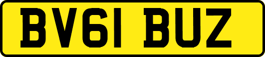 BV61BUZ