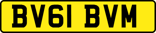 BV61BVM