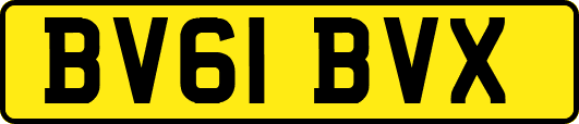 BV61BVX