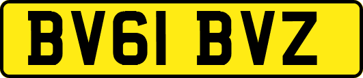 BV61BVZ