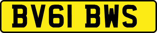 BV61BWS