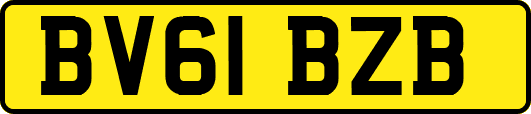BV61BZB