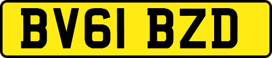 BV61BZD