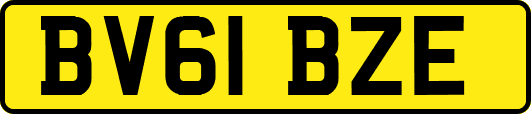 BV61BZE