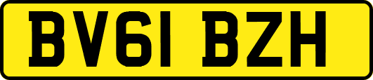 BV61BZH