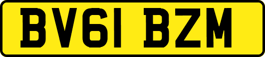 BV61BZM