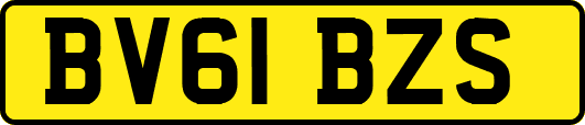 BV61BZS