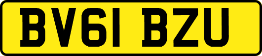 BV61BZU