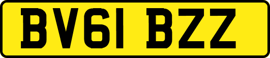 BV61BZZ