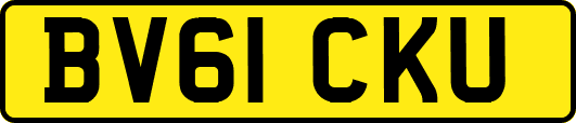 BV61CKU