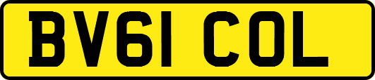 BV61COL