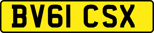 BV61CSX