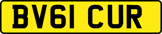 BV61CUR
