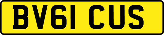 BV61CUS