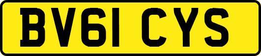 BV61CYS