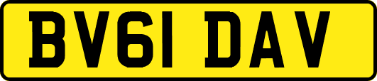 BV61DAV