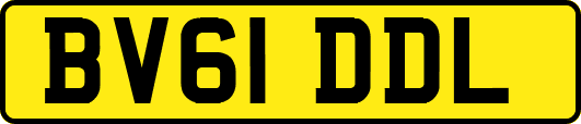 BV61DDL