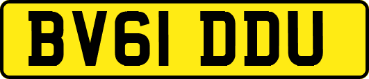 BV61DDU
