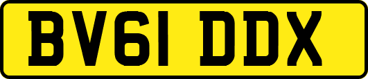 BV61DDX
